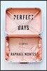 Perfect Days