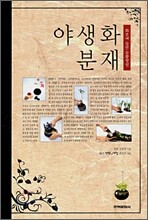 야생화 분재