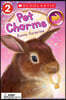 Pet Charms #2: Bunny Surprise