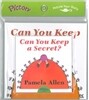Pictory Set Pre-Step 24: Can You Keep a Secret?