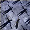 Muse - Absolution (Remastered)(Ltd. Ed)(Gatefold)(180G)(2LP)