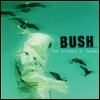 Bush (부시) - The Science Of Things [LP]