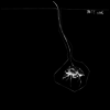 Boss Hog - Brood Star (EP)(LP)