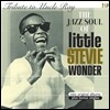 Stevie Wonder (스티비 원더) - Tribute To Uncle Ray/The Jazz Soul Of Little Stevie [2LP]
