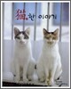 묘한 이야기