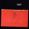 Radiohead (라디오헤드) - Amnesiac [2LP]