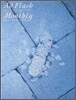 AD Flash Vol.307