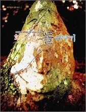 화산섬, 돌 이야기