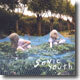Sonic Youth - Murray Street