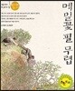 메밀꽃 필 무렵