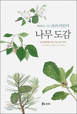 나무 도감: 세밀화로 그린 보리 어린이 도감