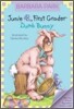 Junie B. Jones #27: Dumb Bunny [With Junie B. Easter]
