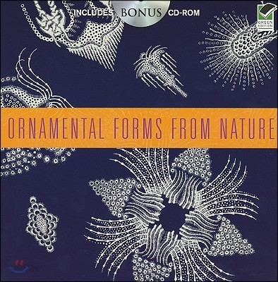 Ornamental Forms from Nature