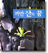 까만 산의 꿈
