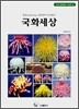 국화세상