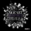 Anima Musicae 모차르트: 디베르티멘토, 아이네 클라이네 나흐트무지크 (Mozart: Divertimenti, Eine Kleine Nachtmusik) 아니마 뮤지케 실내 관현악단