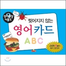 찢어지지 않는 영어 카드