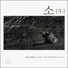 김진선 사진집 소 (Cattle)