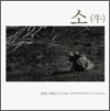 김진선 사진집 소 (Cattle)