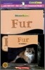 [Brain Bank] G1 Science 1 : Fur