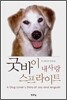 굿바이 내사랑 스프라이트