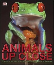 Animals Up Close