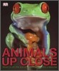 Animals Up Close