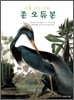 존 오듀본