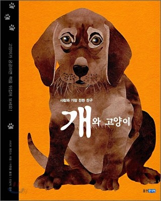 개와 고양이