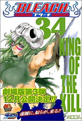 BLEACH ブリ-チ 34