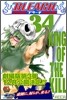 BLEACH ブリ-チ 34