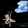 푸른하늘 - 2집 눈물나는 날에는 (미개봉)