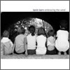 Kevin Kern - Embracing The Wind