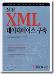 실전 XML 데이터베이스 구축