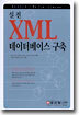 실전 XML 데이터베이스 구축