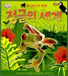 정글의 세계