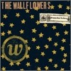 The Wallflowers - Bringing Down The Horse
