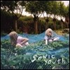 Sonic Youth (소닉 유스) - Murray Street [Back To Black Series LP]