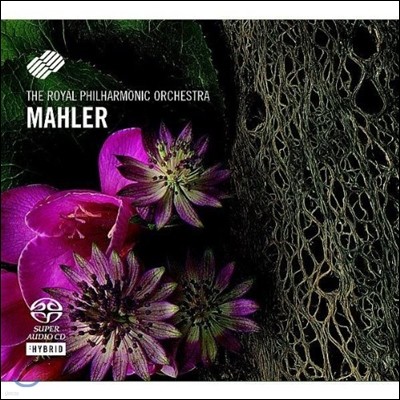 Royal Philharmonic Orchestra 말러: 교향곡 5번 (Mahler: Symphony No.5) 로열 필하모닉 오케스트라, 프랑크 쉽웨이
