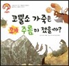 hoWhy? 아빠, 왜? 04 코뿔소 가죽은 왜 주름이 졌을까?