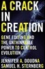 A Crack in Creation