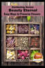 Beauty Eternal - Easy Ways to Preserve Flowers