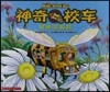 神奇校車8:奇妙的蜂巢 신기교차8:기묘적봉소