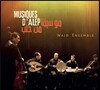 Wajd Ensemble - Musiques d'Alep