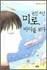 눈먼 소년 미로, 바다를 보다