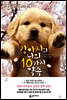 강아지와 나의 10가지 약속