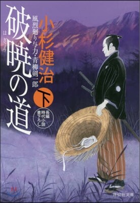風烈廻り輿力.靑柳劍一郞(36)破曉の道 下