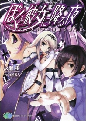 ぼくと彼女に降る夜 フ-ルジェスタ-~道