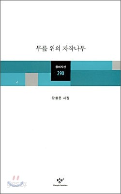 무릎 위의 자작나무