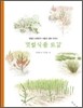 갯벌 식물 도감